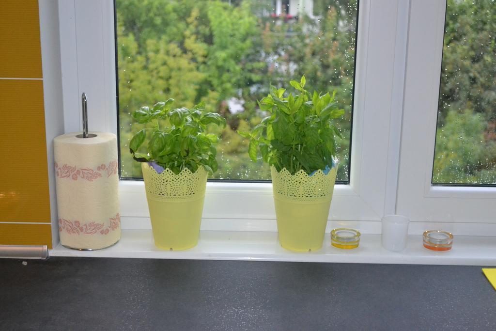 Jtb Apartament Chopina Apartment Szczecin Bilik gambar